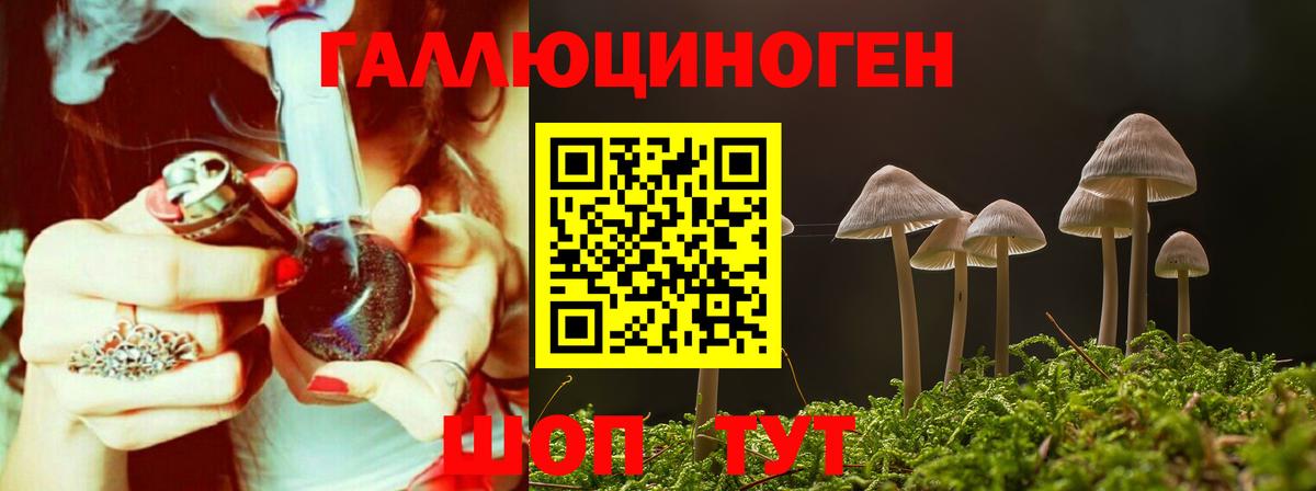 Новочеркасск  Псилоцибиновые грибы прущие грибы  Вход с VPN 